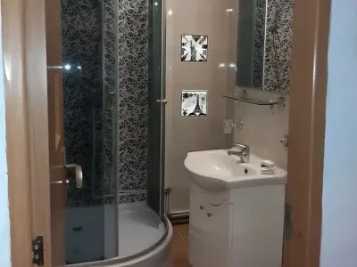 baie moderna cu cabina de dus garsoniera vanzare Sector 2 București